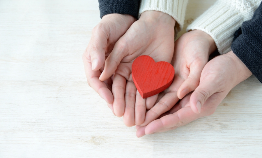 賠償責任保険も加入済みなので安心